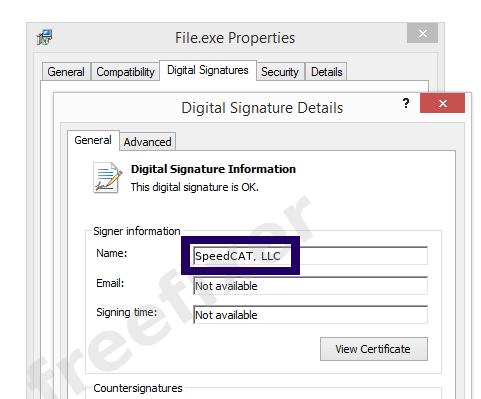 Screenshot of the SpeedCAT, LLC certificate